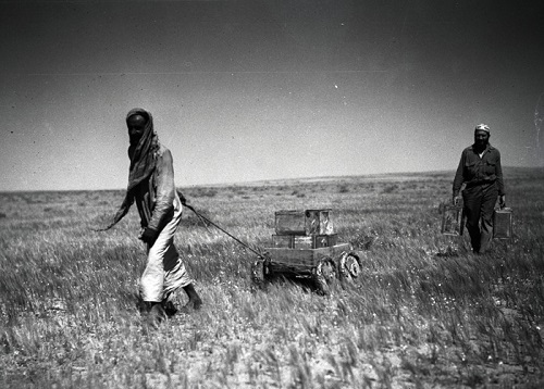 بادیه نشینان عربستان